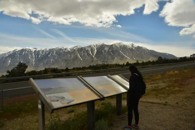 DSC_6604 (Large).JPG